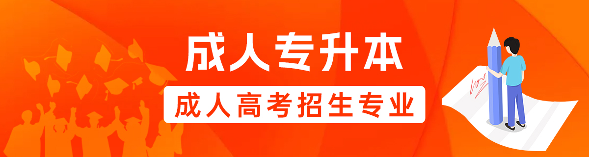 成人专升本