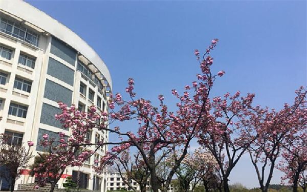 武汉工程职业技术学院成人高考2022年招生简章
